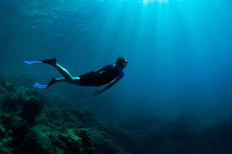 Nice: Snorkeling Speedboat Tour in Villefranche Bay - Jellyfish reality check, and how the guides handle it