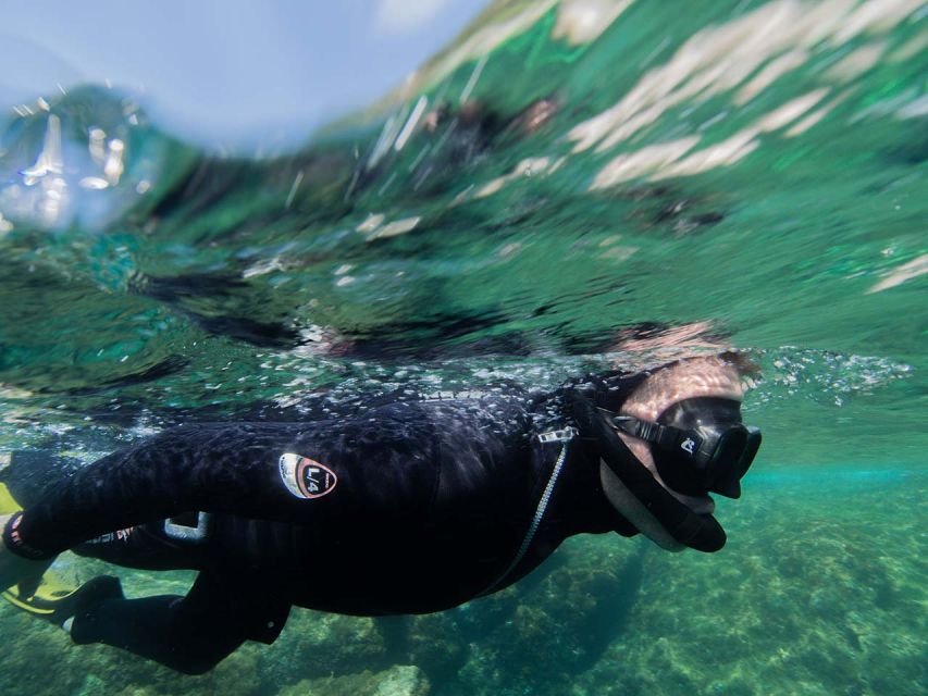 Nice: Snorkeling Speedboat Tour in Villefranche Bay - Saint-Jean-Cap-Ferrat on the way back, when the trip turns into scenery