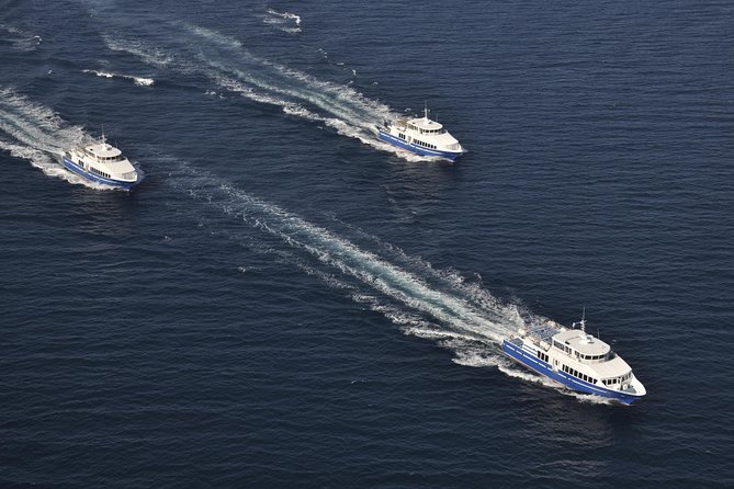 Nice to St Tropez Ferry Ticket and Cruise - Price and Value: Is $125.13 Worth It?