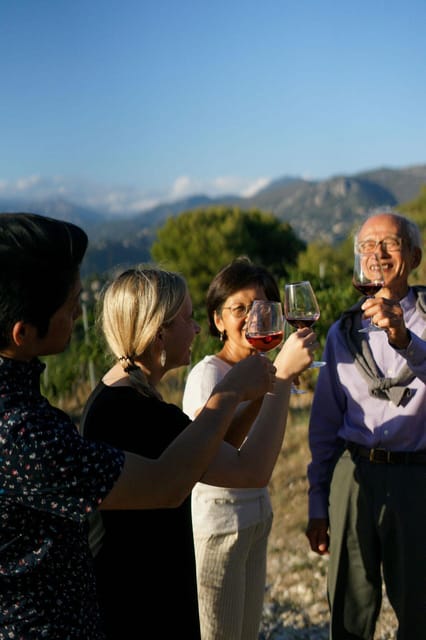 Nice: Vineyard Tour with Wine Tasting - Key Highlights That Make This Tour Worth Your Time