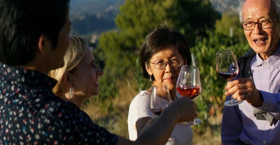 Nice: Vineyard Tour with Wine Tasting - Château de Bellet Setting: The Views Are Part of the Lesson
