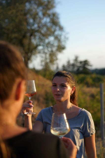 Nice: Vineyard Tour with Wine Tasting - Production Details: From Barrels and Pressing to Storage