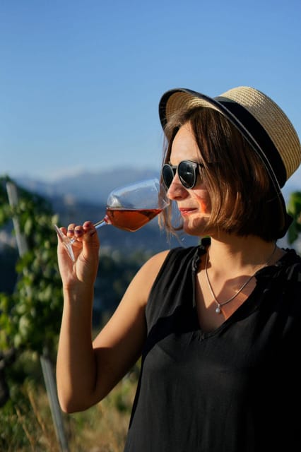 Nice: Vineyard Tour with Wine Tasting - Return Transfer Back to Nice: Easy Exit After a Short Trip