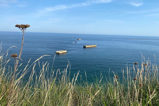 Normandy American & British DDay Beaches Halfday Tour from Bayeux - Why the Guide Matters More Than the Checklist
