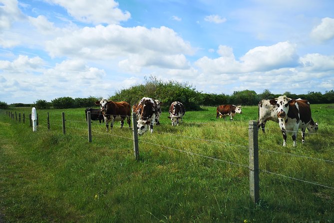 Normandy Battlefields Tour - American Sites (A3) - English Guidance That Actually Helps You Understand What You’re Seeing