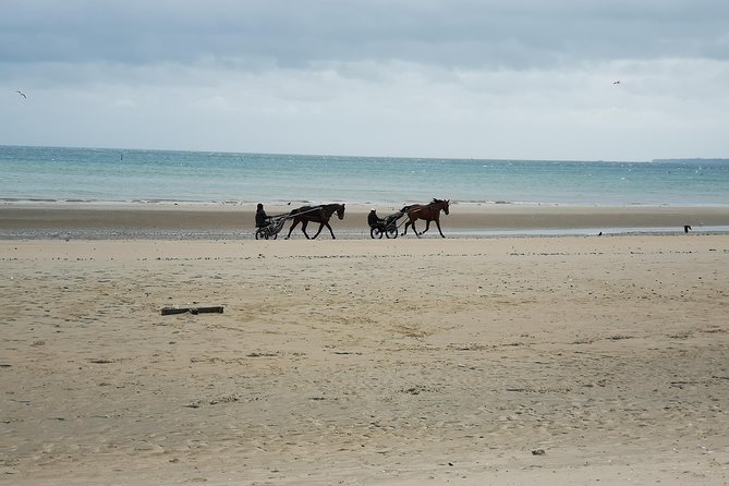 Normandy Beaches Half-Day Afternoon Trip from Bayeux (A2) - Your guide makes or breaks the afternoon