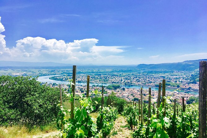 Northern Rhône Valley From Lyon Full day - Key highlights you will care about