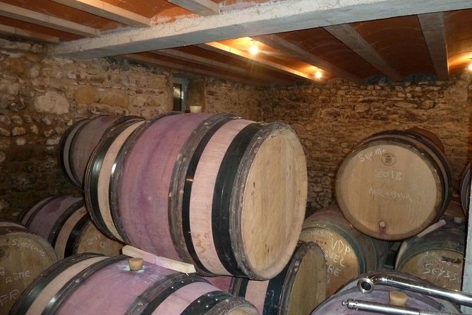 Northern Rhône Valley Wine tour from Lyon Half Day - The guide factor: what makes the best departures shine