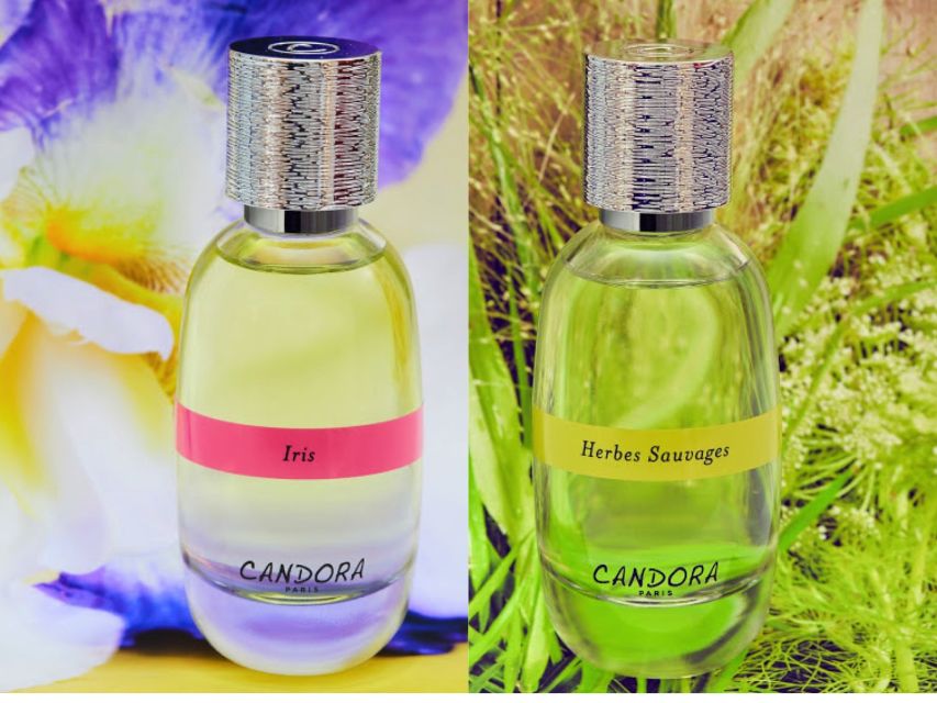 Paris: 2-Hour Perfume Creation Workshop - Where You Start In Paris: Finding the Door at 6 rue Charles V