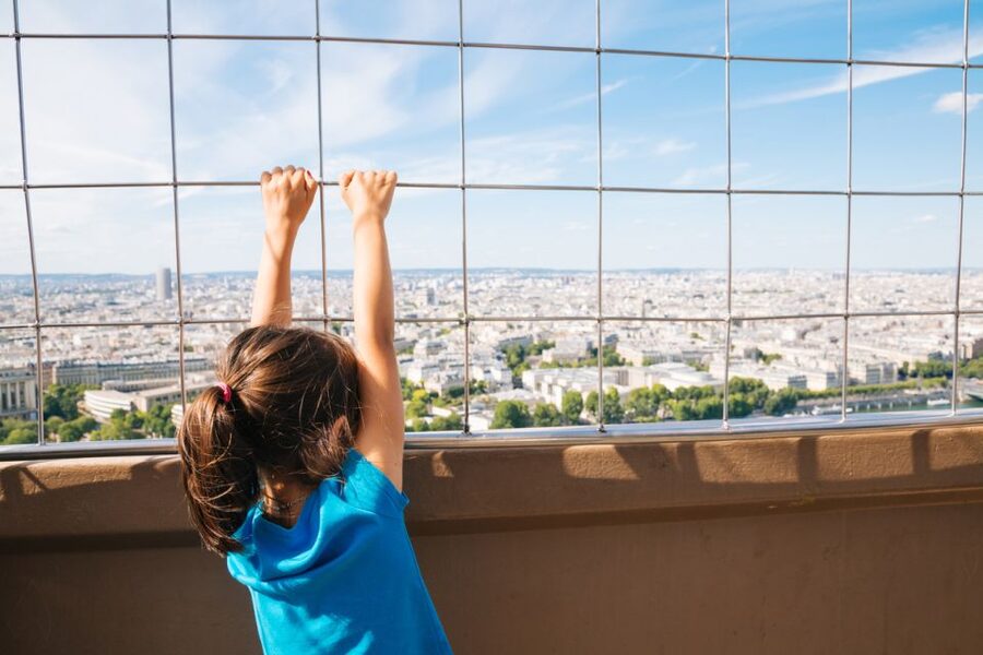 Paris: Access to the Eiffel Tower's 2nd Floor - Big Paris Views: What You’ll Spot on the Observation Deck