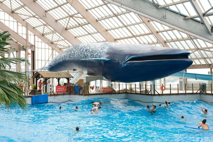 Paris: Aquaboulevard Water Park Entrance Ticket - Crowds and timing: when to arrive for a calmer wave pool