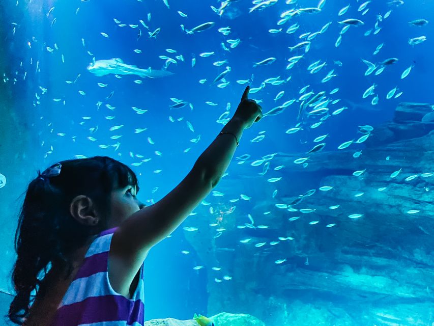 Paris: Aquarium de Paris Entrance Ticket - Key things to know before you buy