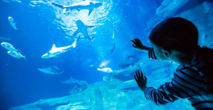 Paris: Aquarium de Paris Entrance Ticket - Aquarium de Paris near Trocadéro: the easiest ocean detour in central Paris