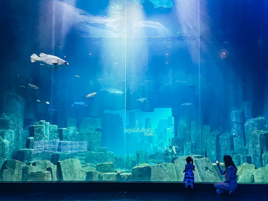 Paris: Aquarium de Paris Entrance Ticket - What you will see: sharks, sting rays, clown fish, and a Seine-to-Indian-Ocean story