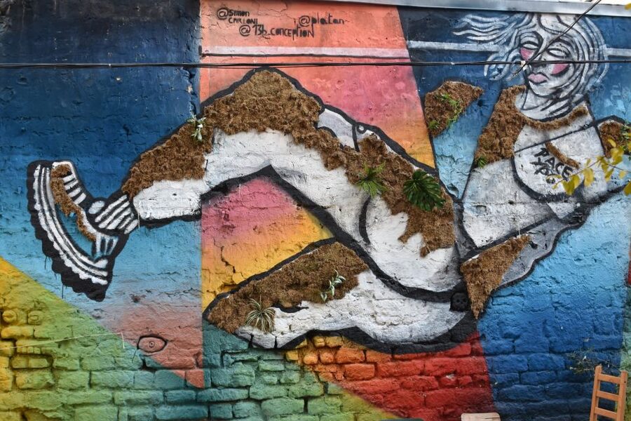 Paris: Belleville Street Art Tour with an Artist - Meet the Artists and Associations That Keep It Moving