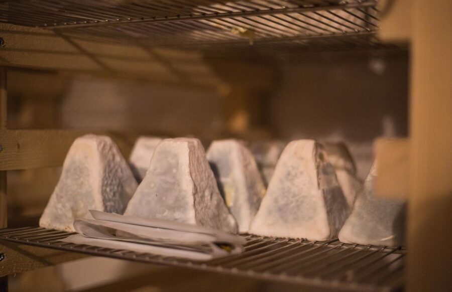 Paris: Cheese and Wine Class in a 17th Century Cellar - 7 French Cheeses You Taste, and How to Think About Them
