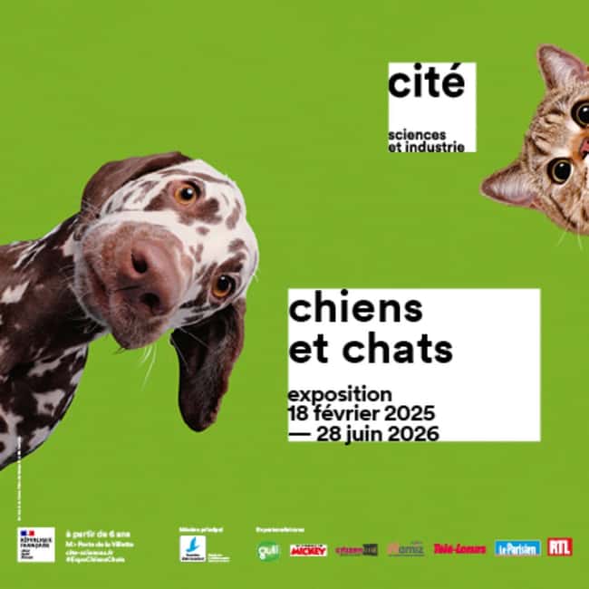 Paris: City of Science and Industry Museum Entry Ticket - Temporary Exhibitions I’d Prioritize: Chiens et chats, Silence, Chauvet Cave, and kids dance