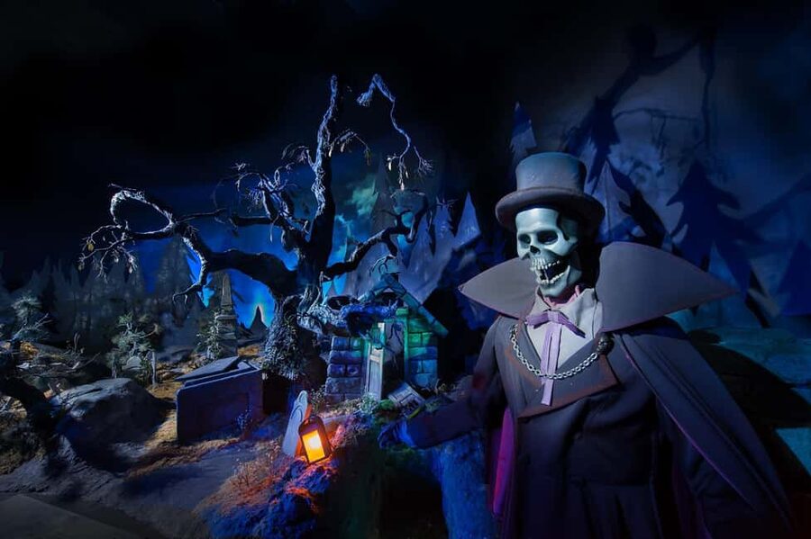 Paris: Disneyland Paris Ticket with Transfer - Should You Book This Transfer Ticket?