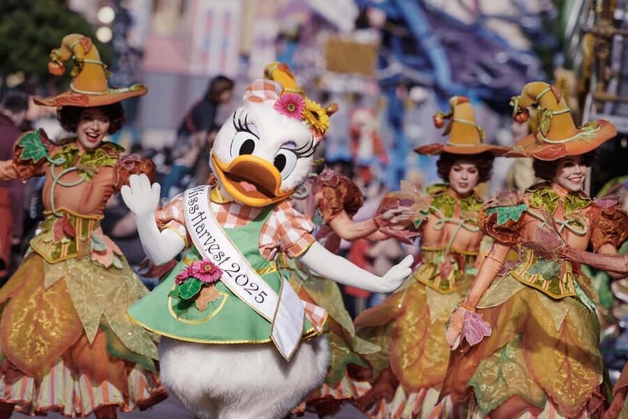 Paris: Disneyland Paris Ticket with Transfer - A Disneyland Paris Day That Starts in the Right Place