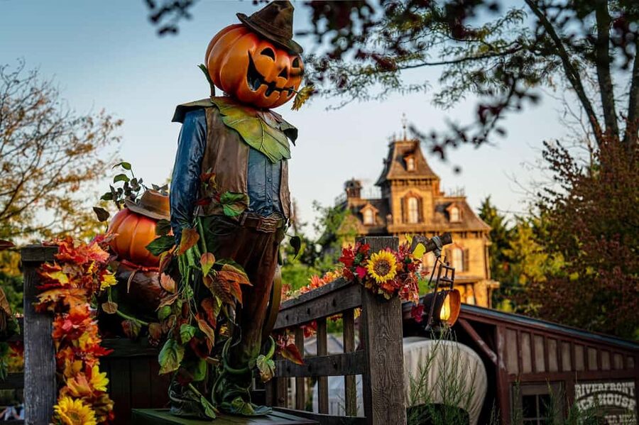 Paris: Disneyland Paris Ticket with Transfer - Timing Reality Check: Return Pickup Can Be Early
