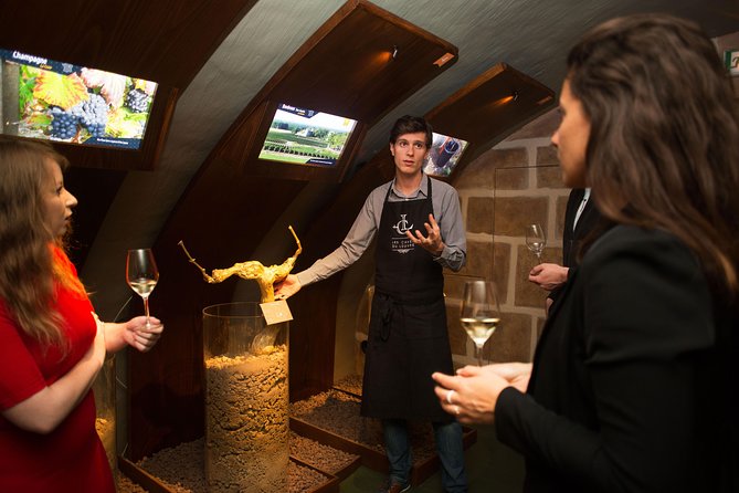 Paris - Guided Visit & Tasting in a Royal Wine Cellar - Who this tour is best for, and who should skip it