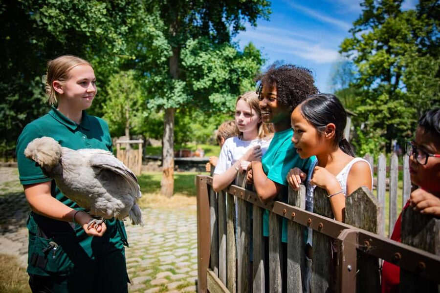 Paris: Jardin d'Acclimatation 1-Day Unlimited Pass - Your best strategy for a single day with unlimited rides