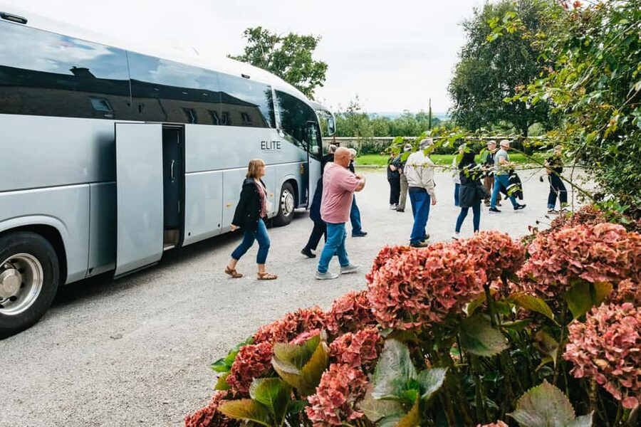 Paris: Normandy D-Day Sites Guided Day Trip with Lunch - Lunch in Grandcamp-Maisy: a timed meal that prevents tour-day chaos
