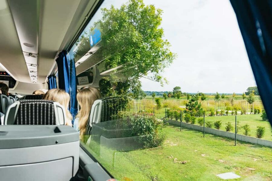 Paris: Normandy D-Day Sites Guided Day Trip with Lunch - Value and price check for $117 per person
