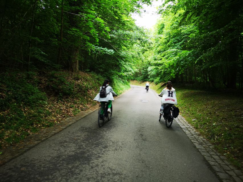 Paris: Versailles Palace and Queen Hamlet E-Bike Tour - The ride home by train: you end with momentum, not fatigue