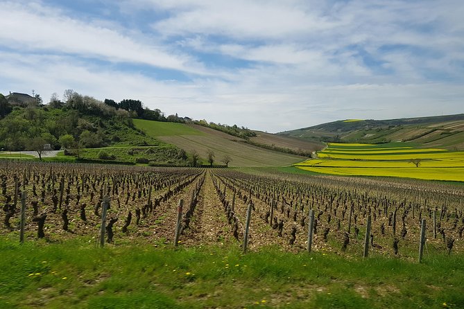 Paris Wine Day Tours exclusive wine tour in the Sancerre area - Key highlights at a glance