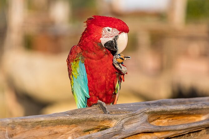 Parrot World Immersive Wildlife Park Entry Ticket next to Paris - Entering Parrot World: A Tropical Ticket That Feels Local