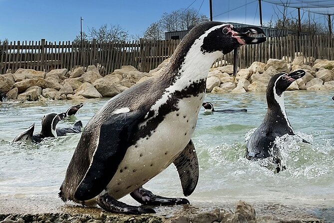 Parrot World Immersive Wildlife Park Entry Ticket next to Paris - What the Park Themed Walks Mean: Amazonia and Patagonia Treks