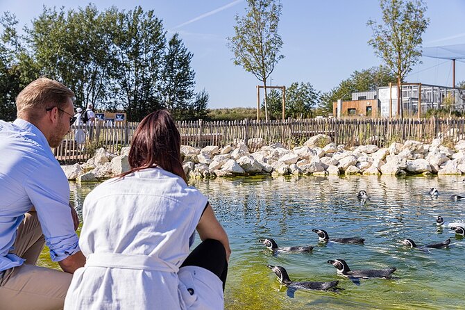 Parrot World Immersive Wildlife Park Entry Ticket next to Paris - Playground and Picnic Area: Making It Work for Families