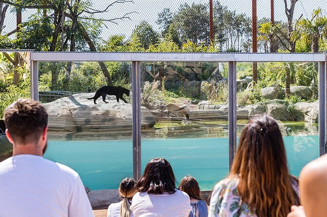 Parrot World Immersive Wildlife Park Entry Ticket next to Paris - Food Options on Site: Restaurants and Picnic Planning