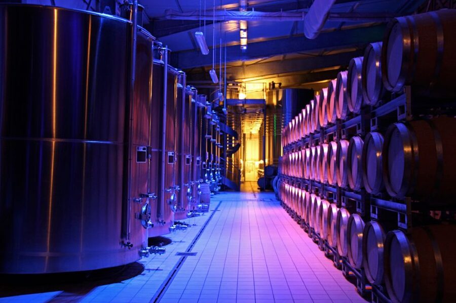 Passy-Grigny: Chocolate and Champagne Tasting Tour - Who should book this Champagne and chocolate tour