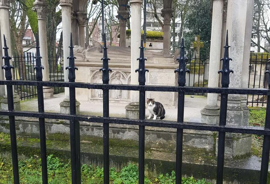 Père-Lachaise : histoires et mystères contés par un comédien - Walking logistics, hills, and how long it really takes