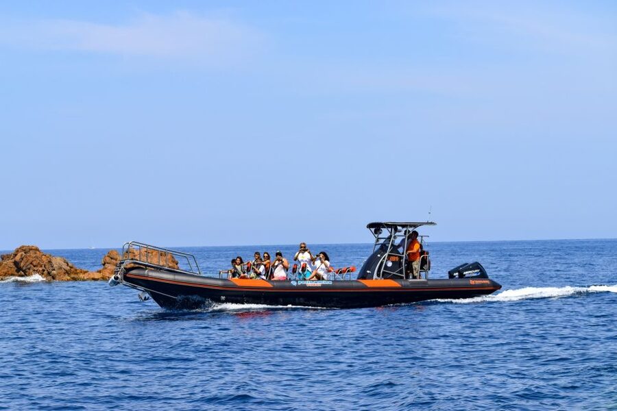 Porto: Scandola and Calanches of Piana Boat Trip - Who should book this boat trip