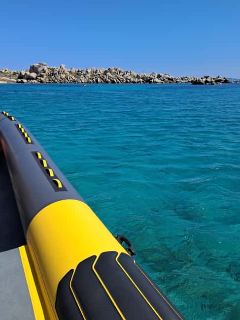 Porto-Vecchio: Lavezzi Archipelago & Cerbicales Island Tour - Isles Cerbicales: the seabird soundtrack and quiet coves