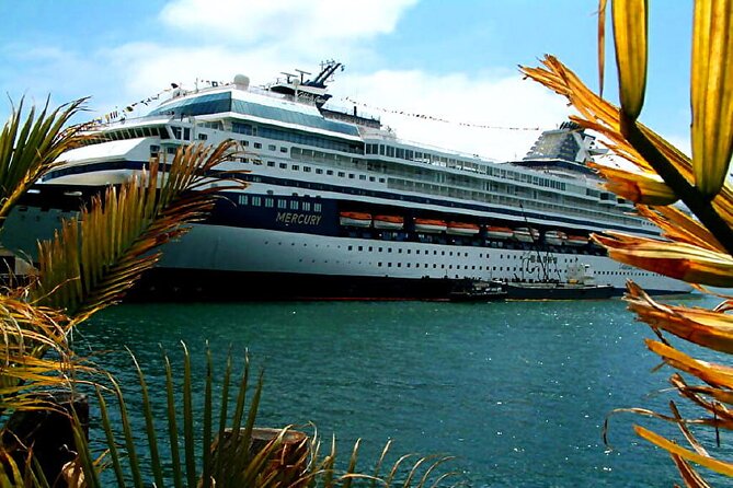 Private Customized French Riviera Tour from Port of Cannes 8H - Cannes red carpet walk: one hour to feel the Film Festival glow