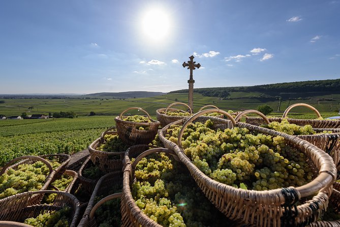 Private excursion to Côte de Beaune and Côte de Nuits (full day) - Key highlights worth marking on your map
