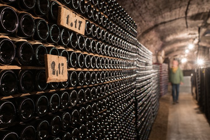 Private excursion to Côte de Beaune and Côte de Nuits (full day) - Second tasting at an estate: another six wines