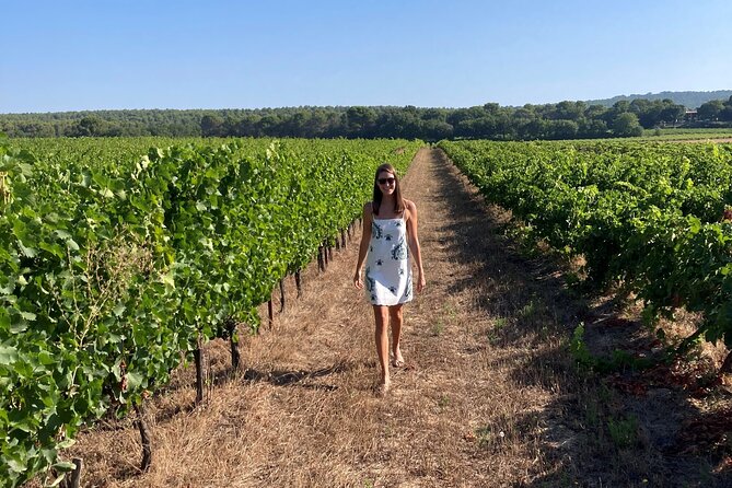 Private Full Day Wine Tour in Provence - How the pickup and timing work from Aix-en-Provence and beyond