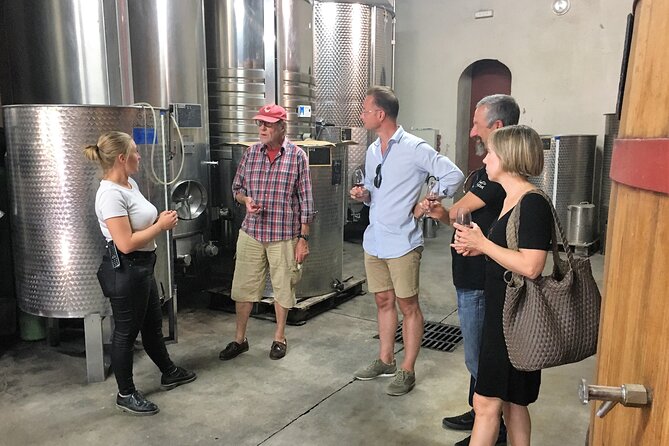 Private Full Day Wine Tour in Provence - Getting the best from the A/C minivan ride and 6 to 8 hour schedule