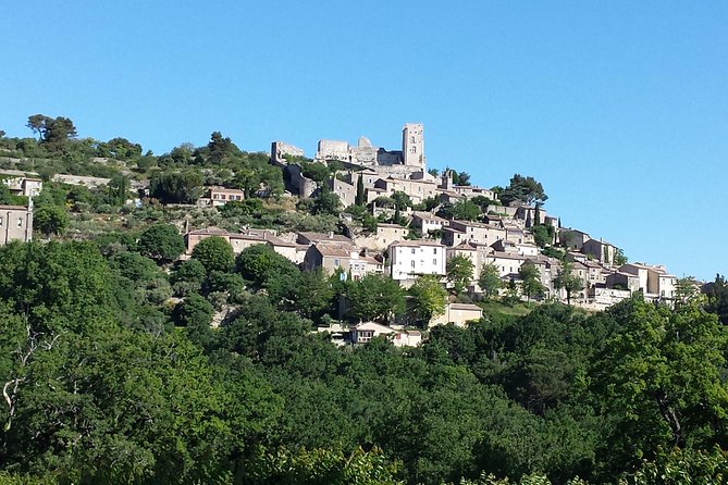 Provence Highlights Full-Day Tour from Avignon - Senanque Abbey: a brief photo stop with a lavender-season rule