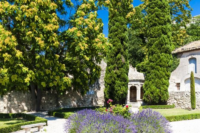 Provence in One Day Small Group Day Trip from Avignon - Price and Logistics: What You Get (and What You Should Plan Around)