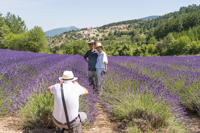 Provence Lavender Full Day Tour from Avignon - Quick hits