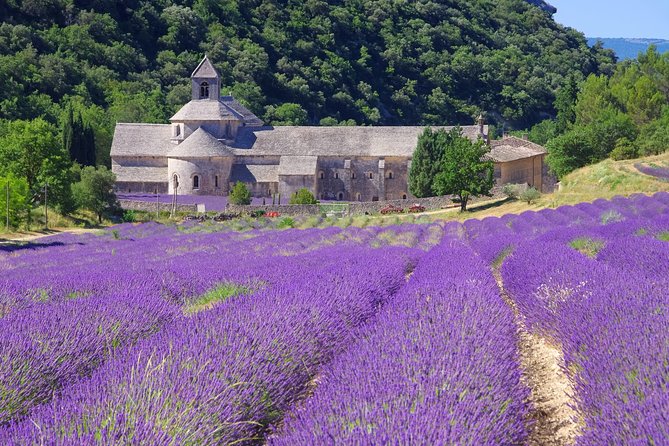 Provence Lavender Full Day Tour from Avignon - Why Avignon Makes This Lavender Day Trip Work