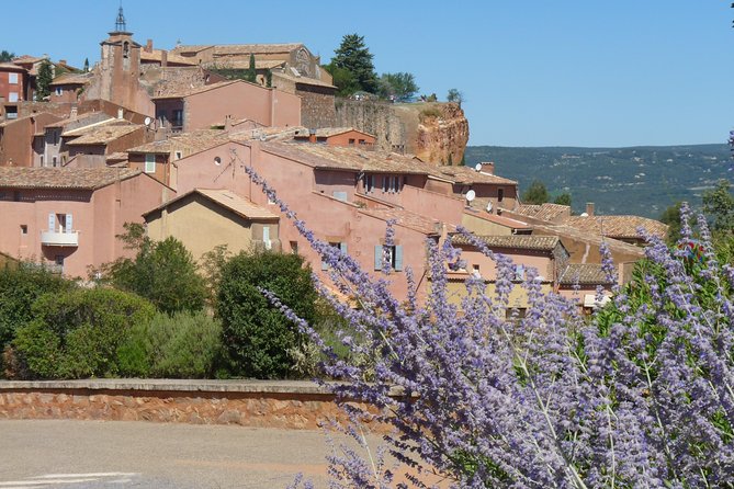 Provence Lavender Full Day Tour from Avignon - Transportation, Comfort, and Why the Van Matters