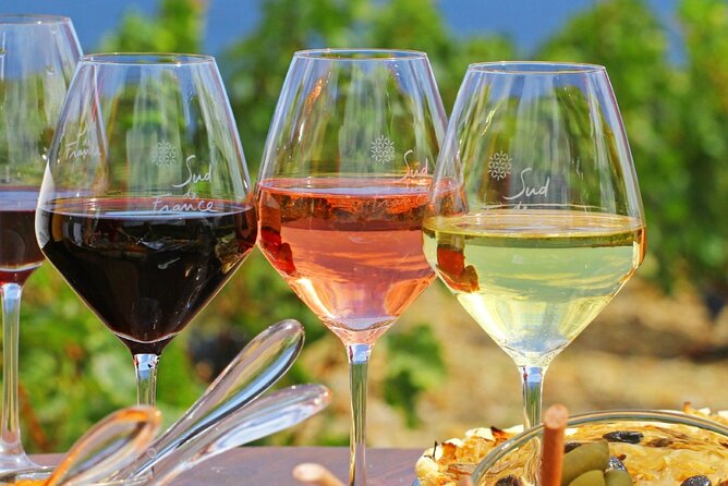 Provence Organic Wine Tasting Half Day Tour from Nice - Getting From Nice to Provence Hills: what the timing really feels like