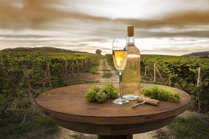 Provence Organic Wine Tasting Half Day Tour from Nice - Wine tasting basics: varietal stories, not just sips